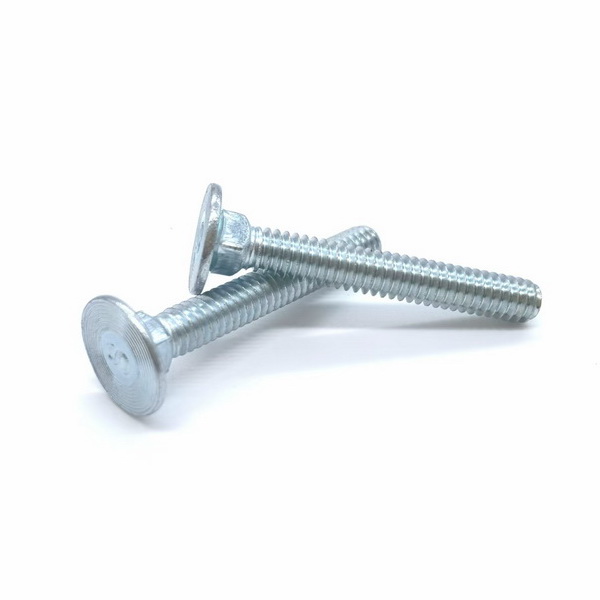 Carriage Bolts